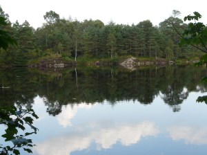 Reflecting on reflection - The Lakes at their best