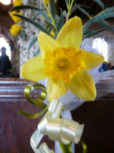 ...at daffodil festival